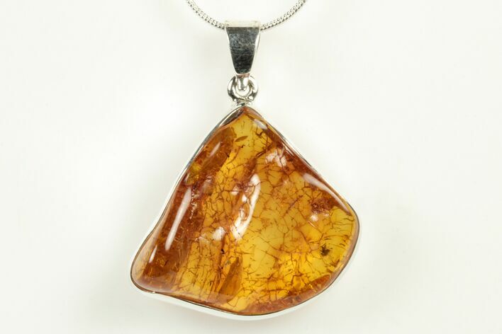 Polished Baltic Amber Pendant (Necklace) - Sterling Silver #240312